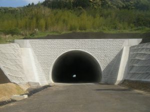 瀬ﾉ口トンネル：延長535m