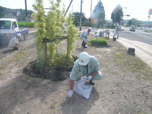 除草作業