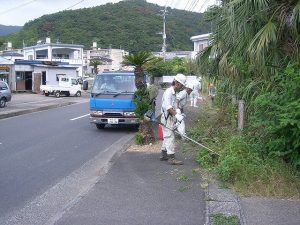 除草作業